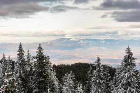 Winter landscape of the mountain. Stock Photos
