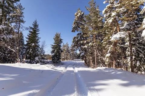 Winter landscape of the mountain. Stock Photos