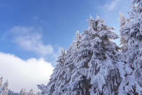 Winter landscape of the mountain. Stock Photos