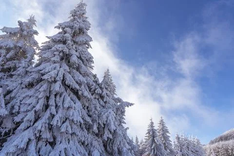 Winter landscape of the mountain. Stock Photos