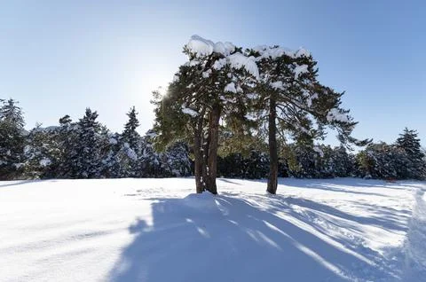 Winter landscape of the mountain. Stock Photos