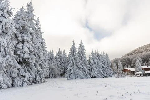 Winter landscape of the mountain. Stock Photos