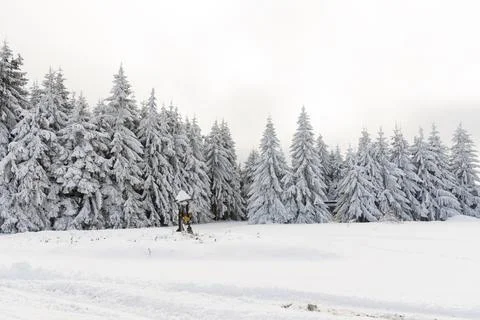 Winter landscape of the mountain. Stock Photos