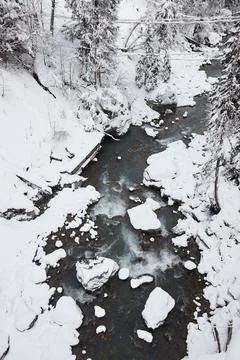 Winter landscape, mountain river flows between rocks in snow, coniferous forest Stock Photos