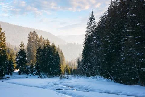 Winter landscape with mountain river Stock Photos