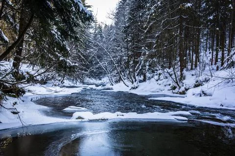 Winter landscape of the mountain river. Stock Photos