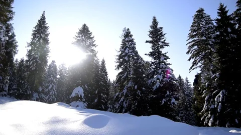Winter landscape in the mountains Stock-Footage 129421922