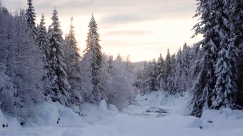 Winter landscape in the mountains HD 動画素材 153487213