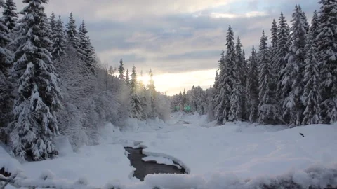 Winter landscape in the mountains. HD 動画素材 153487313