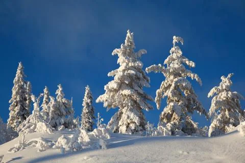 Winter landscape in mountains Stock Photos