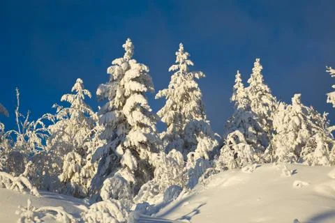 Winter landscape in mountains Stock Photos