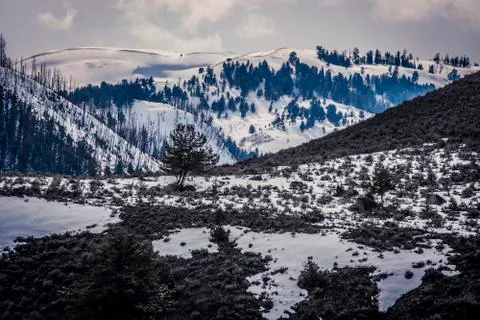 Winter landscape with mountains Stock Photos