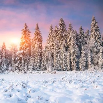 Winter landscape in mountains Stock Photos
