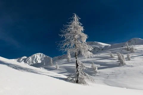 Winter landscape in the mountains Stock Photos