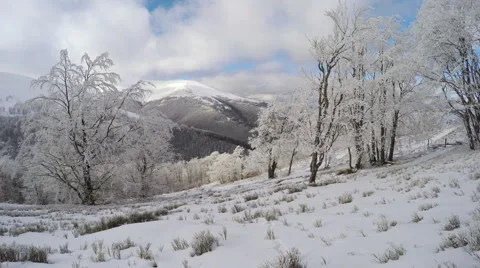 Winter landscape in the mountains, the trees in hoarfrost Stock Footage 46493959