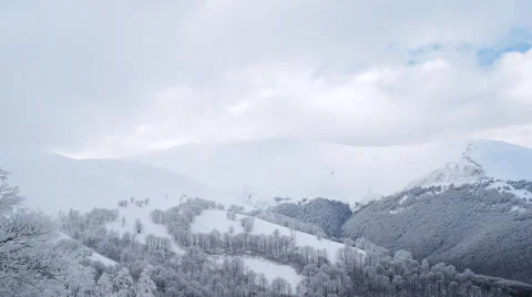 Winter landscape in the mountains, the trees in hoarfrost Video stock 51306151