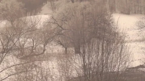 Winter landscape, movement, trees 스톡 동영상 165888724