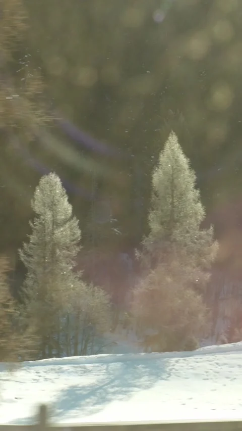 Winter landscape moving through a train window Stock Footage 329553944