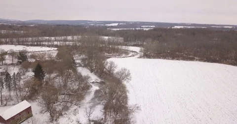 Winter Landscape Nature and wildlife trees river cinematic aerial drone of river Stock Footage