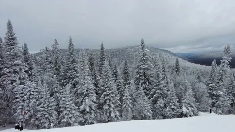 Winter landscape nature mountain forest with snow covered trees in beautiful Stock Footage 161349865