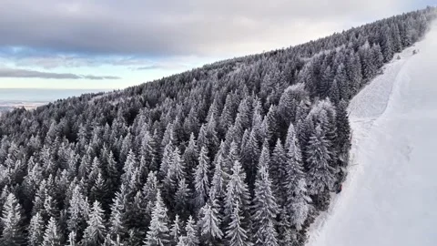 Winter Landscape Over Distant Valley. High Aerial View Of Frosted Trees Stock Footage 342403375