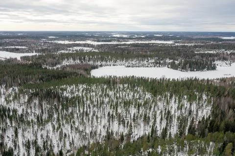 Winter landscape over the forest. Drone photo. Finland, Scandinavia Stock Photos