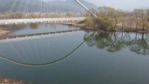 Winter landscape over a lake with a bridge and trees reflecting in the water Stock Footage 245832473