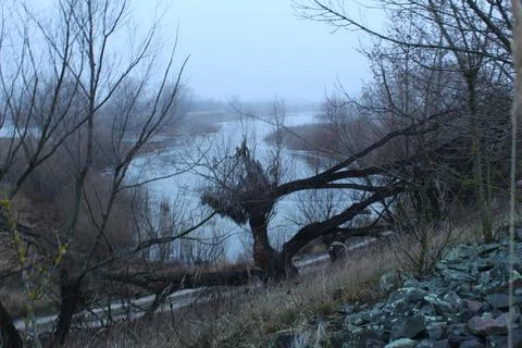 Winter landscape overlooking the river in cold tones Stock Photos