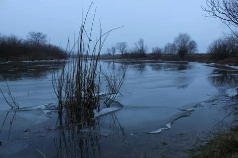 Winter landscape overlooking the river in cold tones Stock Photos