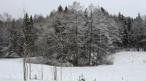 Winter landscape panorama Видео 46633063