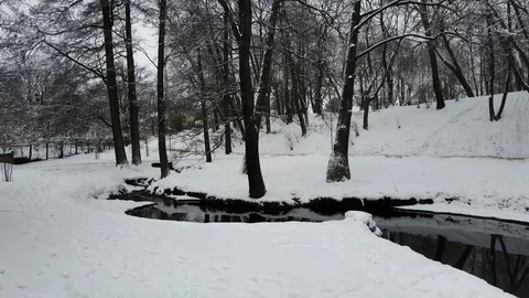 Winter landscape of the park. Drone is flying forward. Stock Footage 104540113