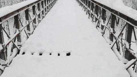 Winter landscape in the park Stock Footage 80372313