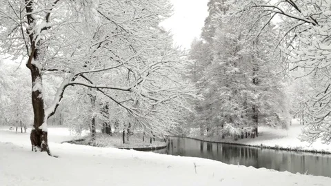Winter landscape in the park Stock Footage 80372382