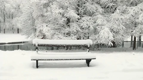 Winter landscape in the park Stock Footage 80372441