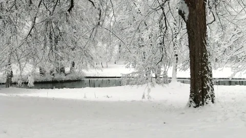 Winter landscape in the park Stock Footage 80372483