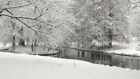 Winter landscape in the park Stock Footage 80372659
