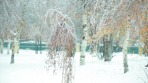 Winter landscape in the park with passers-by Video stock 96301488