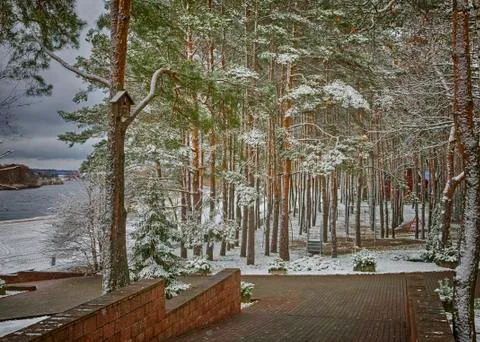 Winter landscape in the Park. Stock Photos