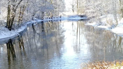 Winter landscape in a park with river Stock Footage 45586040