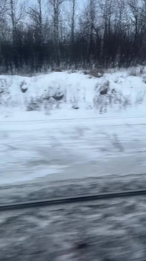 Winter landscape passing by the train window, with forests and villages seen  Stock Footage 303358963