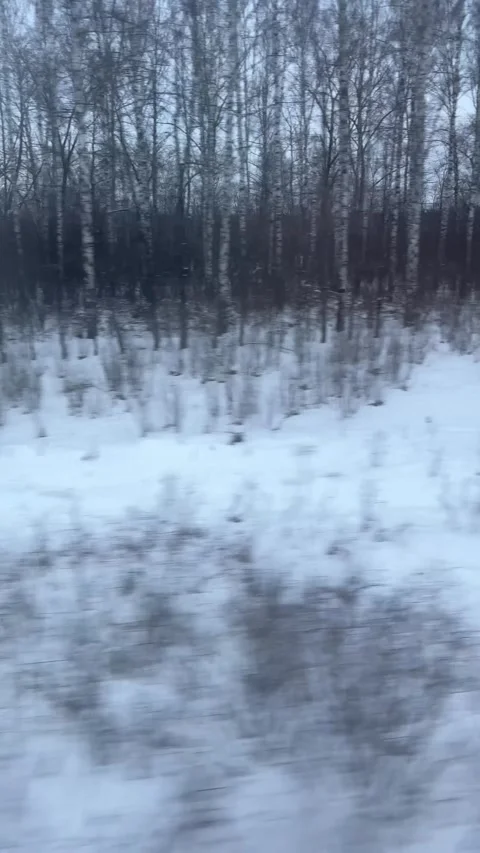 Winter landscape passing by the train window, with forests and villages seen  Video stock 305389304