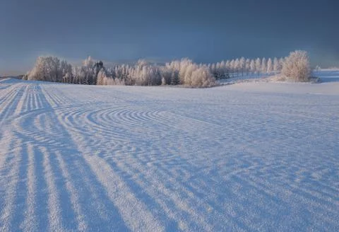 Winter landscape, pattern of ridges on a snow-covered field made by farm mach Stock Photos