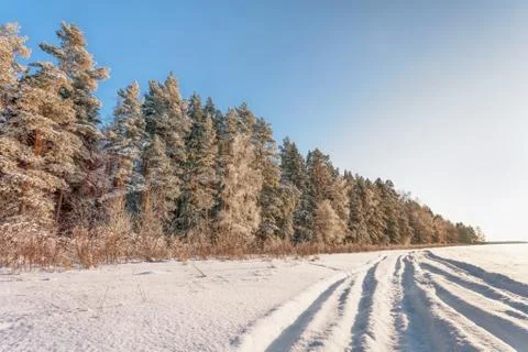 Winter landscape Stock Photos