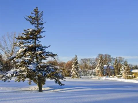 Winter landscape Stock Photos
