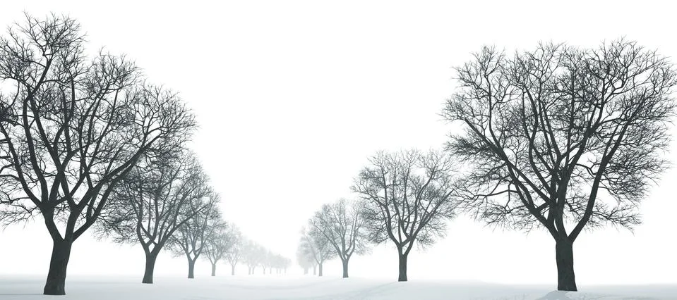 Winter landscape. Stock Photos