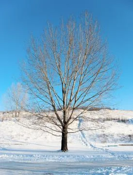 Winter landscape Stock-Fotos