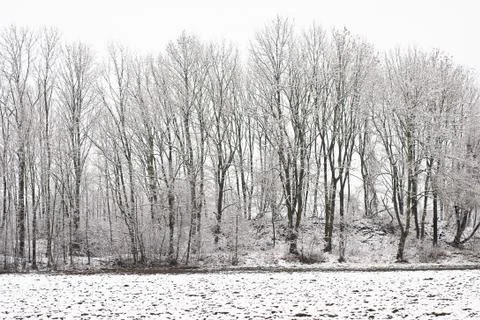 Winter landscape Stock Photos