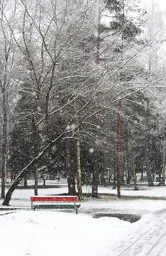 Winter landscape. Stock Photos