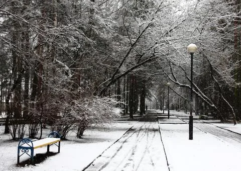 Winter landscape. Stock Photos