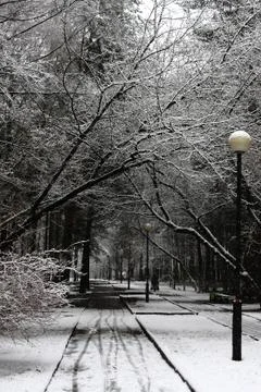 Winter landscape Foto stock